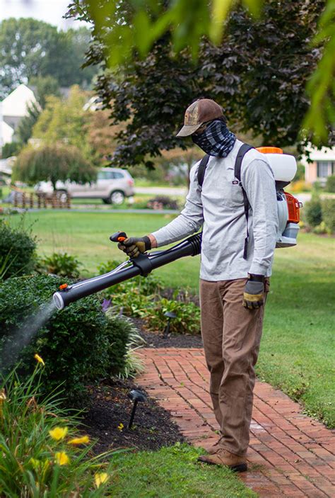 Spraying yard for mosquitoes. Things To Know About Spraying yard for mosquitoes. 